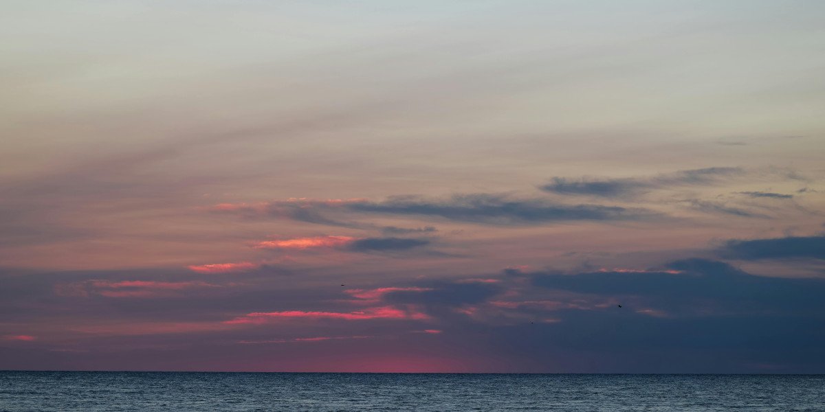 U4GM How to Farm Jungle Valley Bubblegum Currency in 3 27 Phrecia 2 0