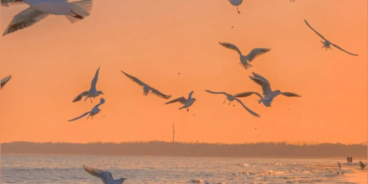 eznpc Guide to Fallout 76 Board Game Locations That Pay Off