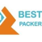bestindianpackers Profile Picture