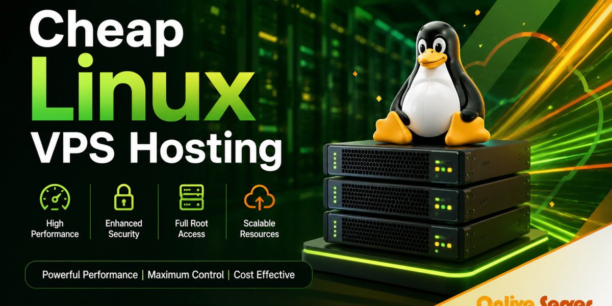 Cheap Linux VPS Hosting | A Smart Hosting Solution for Growing Websites